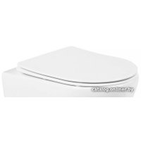 Сиденье для унитаза BelBagno BB901SC