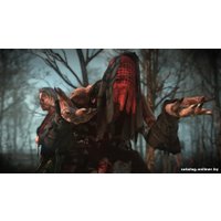 Компьютерная игра PC Ведьмак 3: Дикая Охота