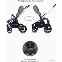 Универсальная коляска Rant MOWbaby Zoom PU (2 в 1, gold grey)