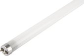 PLED T8 - 900GL 14w FROST 6500K