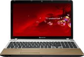 Packard Bell EasyNote TSX66-HR-2674G1TMn (LX.BZP02.002)