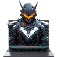 Игровой ноутбук Mechrevo Aurora X FGM-X6RP556W0051201
