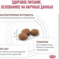 Сухой корм для кошек Royal Canin Gastrointestinal Moderate Calorie 0.35 кг