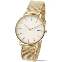 Наручные часы Skagen SKW6443