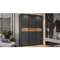 Шкаф-купе Трия Оскар Скания Т2 1800 268698 (ручка черная/серый графит/серый графит/дуб тортугга)