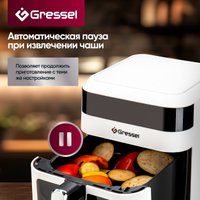 Аэрогриль (аэрофритюрница) Gressel GAF-1824