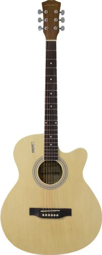 Акустическая гитара Elitaro E4020 N