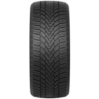 Зимние шины Arivo Winmaster ProX ARW3 195/55R16 91H