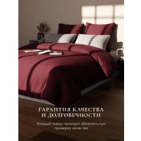 Спальная подушка Espera Home Comfort Wine 3D ЕС-5841 40x60