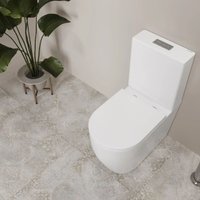 Унитаз напольный Lauter Rimless 21D2202 + гигиенический душ Rainix 21LT7713MW