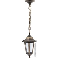 Уличный подвесной светильник ЭРА НСУ 06-60-001 Б0048109