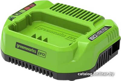 Зарядное устройство Greenworks G60UC (60В)