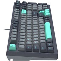 Клавиатура A4Tech Fstyler FS300 Panda Rock Climbing