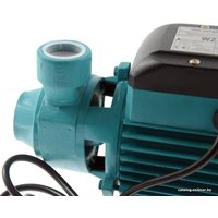 Самовсасывающий насос OMNIGENA WZ 250B