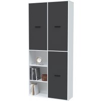 Шкаф распашной Интерлиния Skill-20 (3) (белый/антрацит)