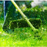 Триммер Oasis TB-250P (C)