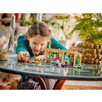 Конструктор LEGO Harry Potter Замок Хогвартс: Класс Гербологии 76445