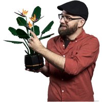 Конструктор LEGO Creator Expert 10289 Райская птица