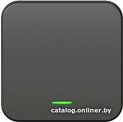 Выключатель Schneider Electric Blanca BLNVA101116