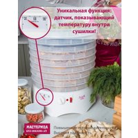 Сушилка для овощей и фруктов Мастерица EFD-0903VM (с прозрачными поддонами + 2 поддона для пастилы и лопатка)