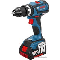 Ударная дрель-шуруповерт Bosch GSB 18 V-EC Professional [06019E9104]