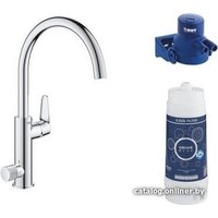 Стационарная система "под мойкой" Grohe Blue Pure BauCurve 119709