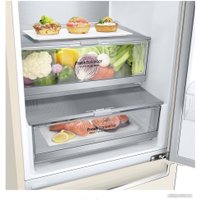 Холодильник LG DoorCooling+ GC-B509SEUM