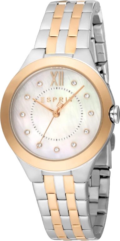 

Наручные часы Esprit ES1L264M1105