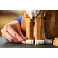 Конструктор LEGO Ideas 21376 Рыжий кот
