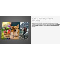 Сушилка для овощей и фруктов Redmond (Редмонд) FD1105 (бежевый)