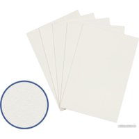 Картон для рисования Vista-Artista грунтованный PKR-4050 40х50 см