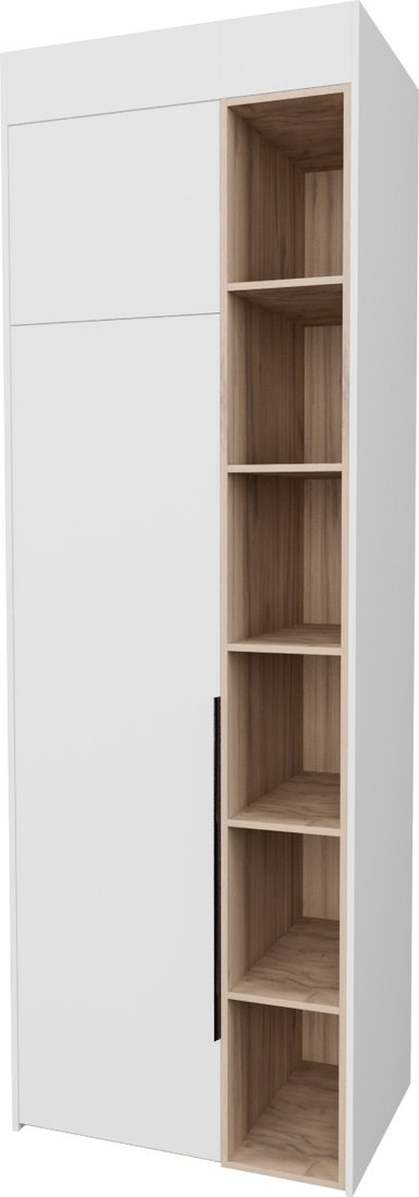 

Шкаф распашной Рэйгрупп Рэй S274-B1-EBЕ B1 (дуб элисон/белый премиум)