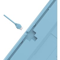 Клавиатура A4Tech Fstyler FS300 Panda Snowboarding