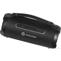 Беспроводная колонка Evolution BOOM-101 (черный)