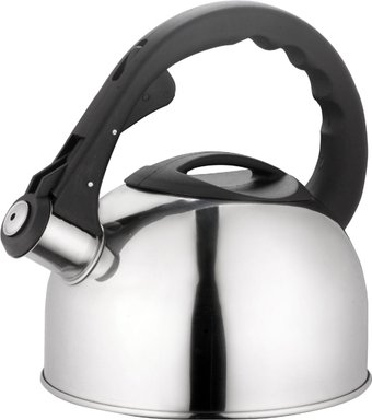 Чайник со свистком Astiat AST1020
