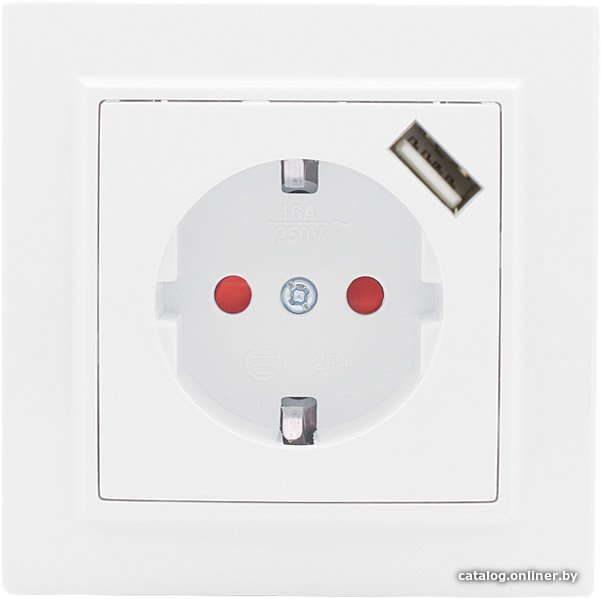 Розетка EKF Basic Минск ERR16-028-100-USB