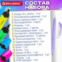 Набор школьника BRAUBERG Подарочный 880951 (43 предмета)