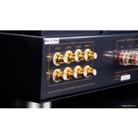 Интегральный усилитель Cayin CS-805A (черный)