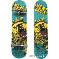 Скейтборд Display Skateboard 31