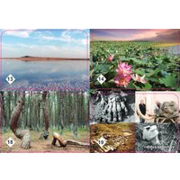 Настольная игра Нескучные игры Мемо - Природные чудеса России