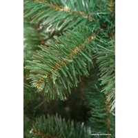 Ель Holiday Trees Европейская 2 м