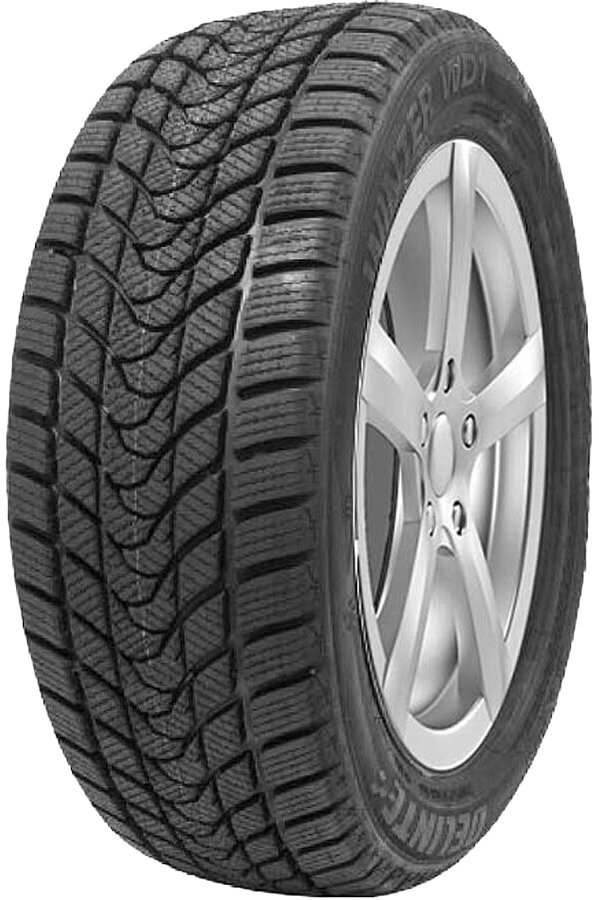 

Зимние шины Delinte Winter WD1 225/45R17 94T