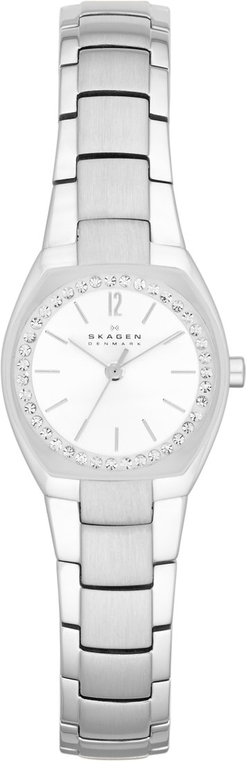 

Наручные часы Skagen SKW2110