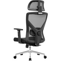 Офисное кресло Evolution ErgoLine 2 (черный)