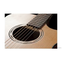 Электроакустическая гитара Baton Rouge AR11C/ACE