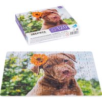 Пазл Dream Makers Зверята RI1203C