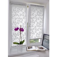 Мини рулонные шторы Delfa СРШ 01МД 2461 34x170 (рисунок лира, белый/серый)