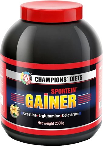 Протеин комплексный Академия-Т Sportein Gainer (2500г, ваниль)