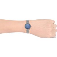 Наручные часы Skagen Anita SKW2862