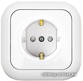 Розетка Bylectrica Гармония РС16-253 (белый)